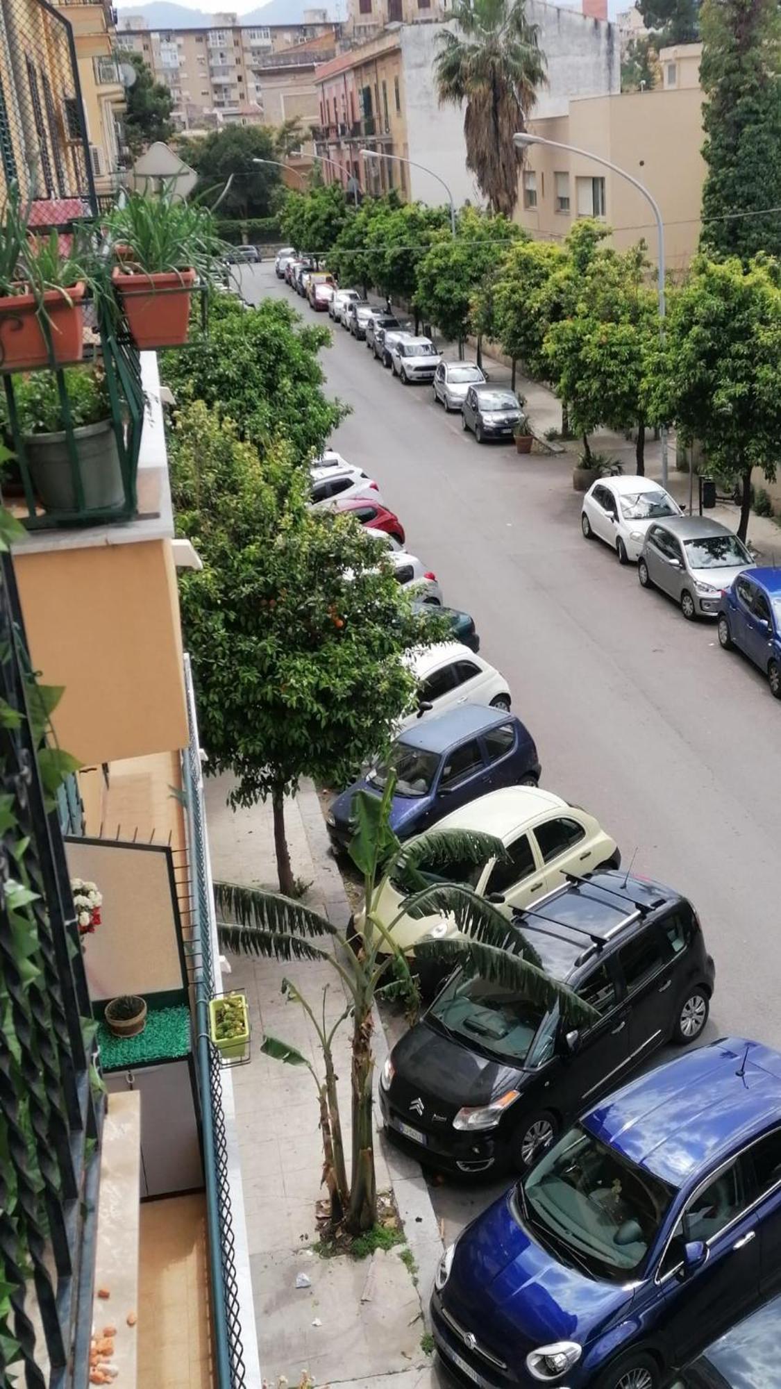 Apartment Biddizzi